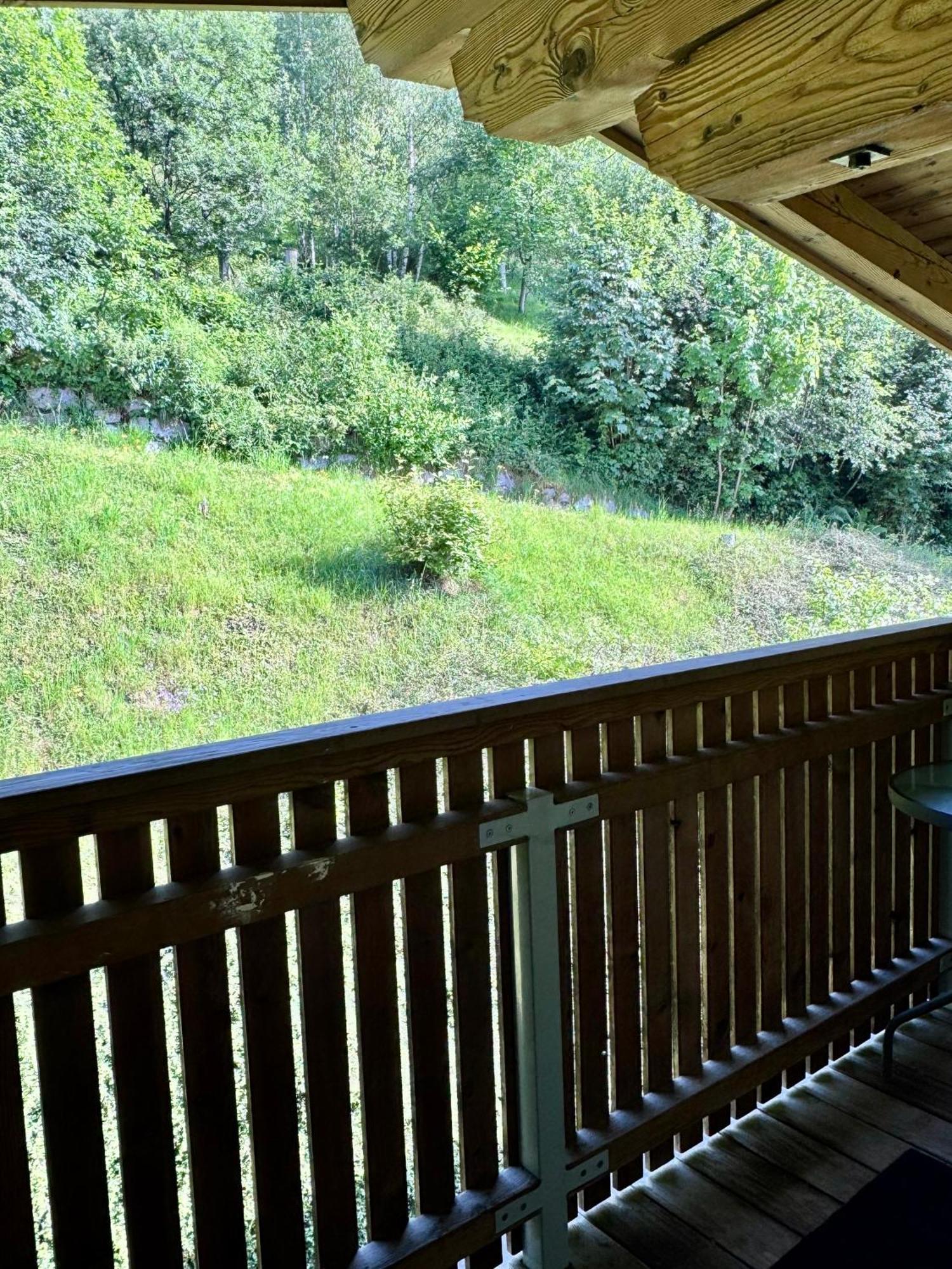 Apartament Kalina & Lian - Zell Am *